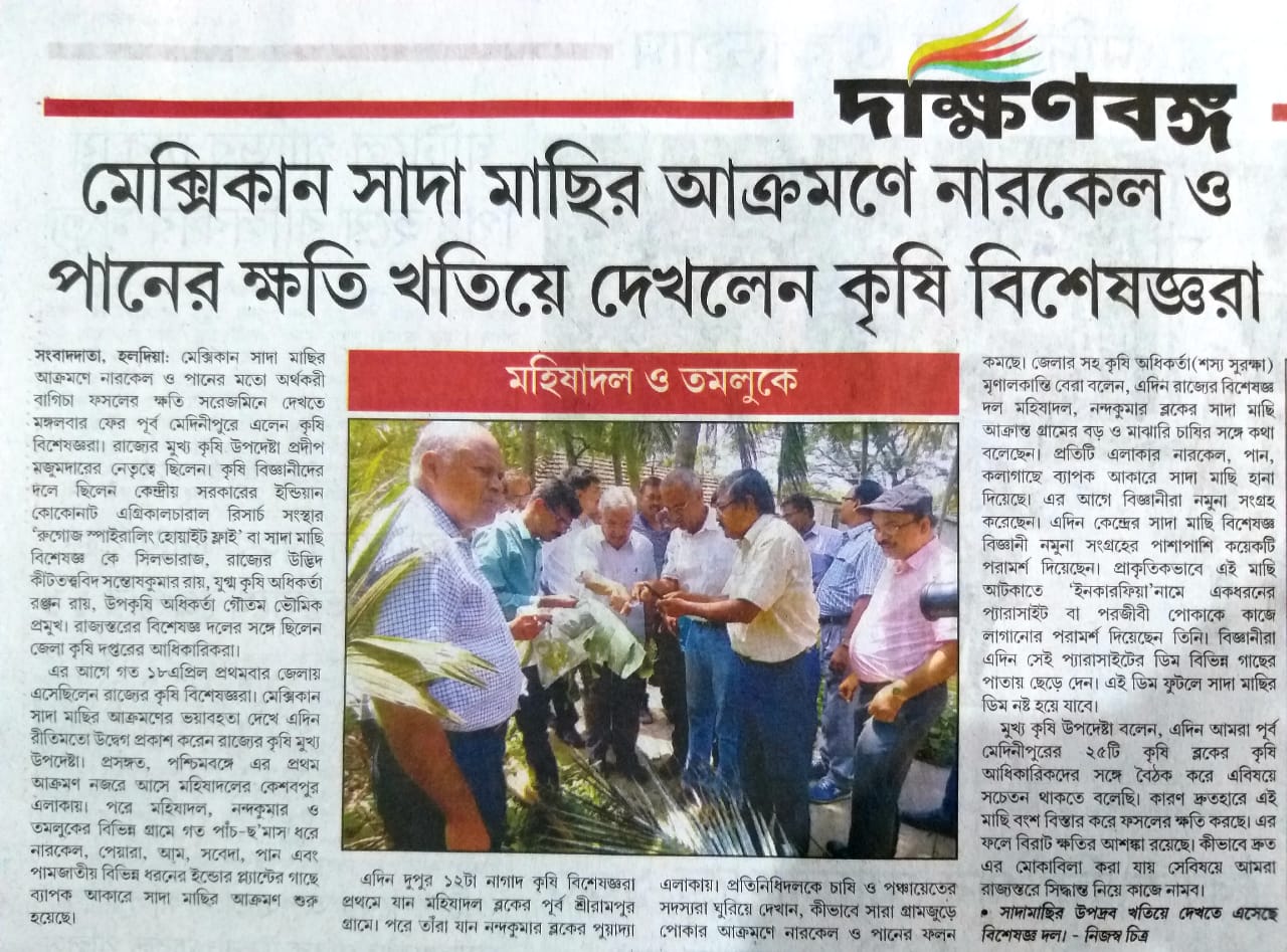 Agri Expert reviewed damages by Mexican whitefly on coconut and betel vine published Bengali daily Bartaman Newspaper