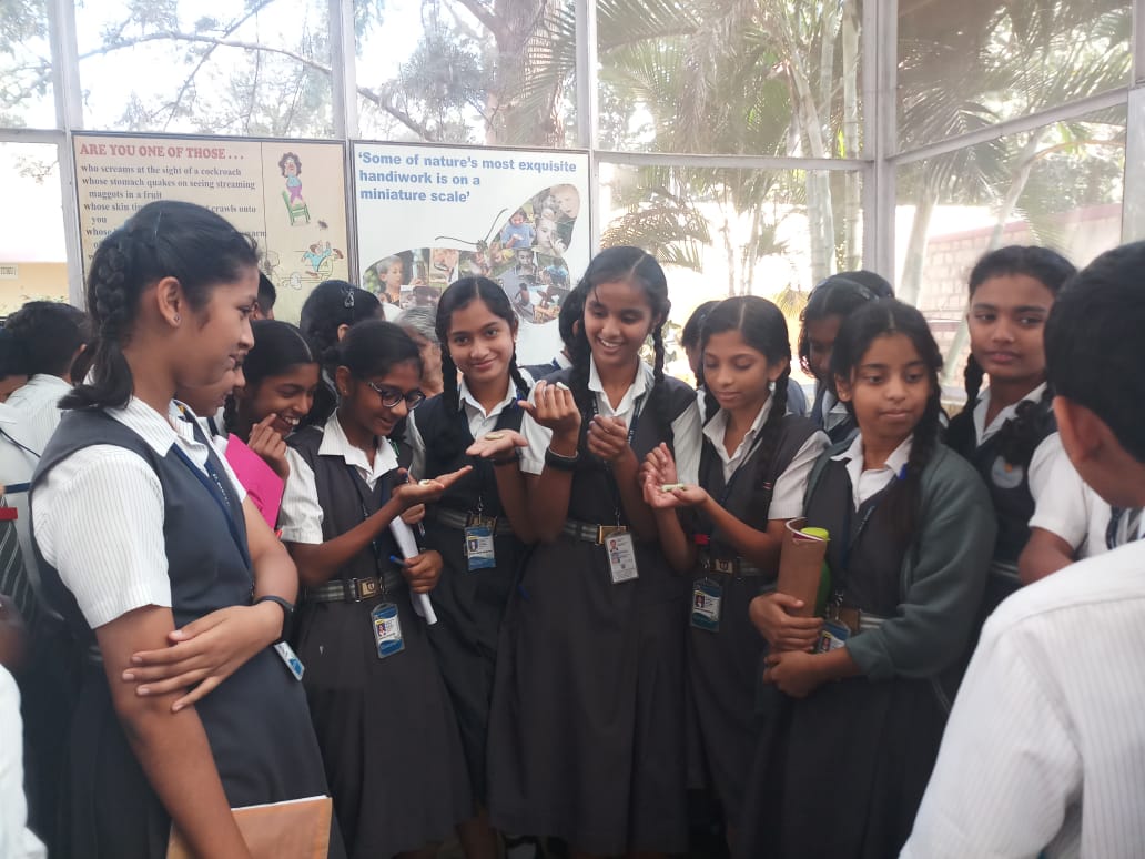 School children visit to Insectarium, NBAIR, Bengaluru