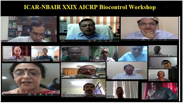 ICAR-NBAIR, Bengaluru organized the Virtual XXIX Annual Workshop of AICRP on Biological Control of Crop Pests