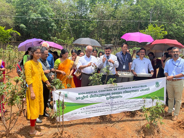release of exotic parasitoids