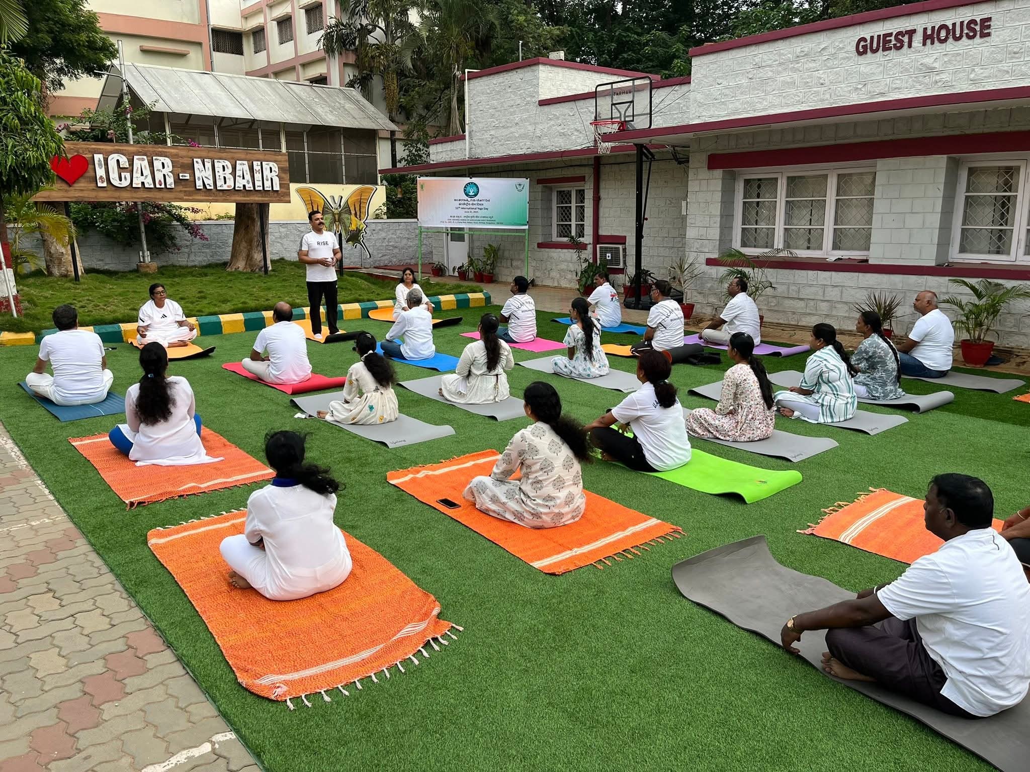 yoga day 2025