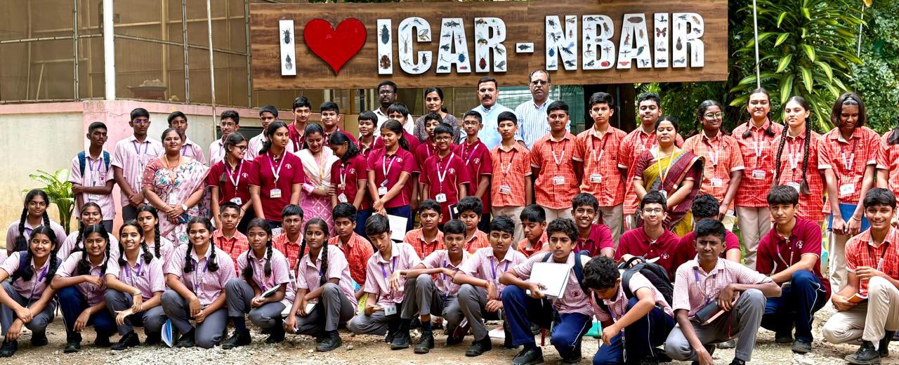 VVP school program