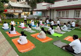 yoga day 2025